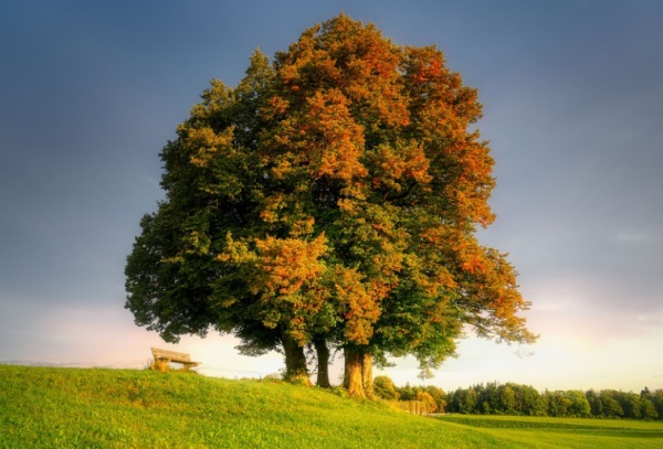 可爱的闺蜜4人网名