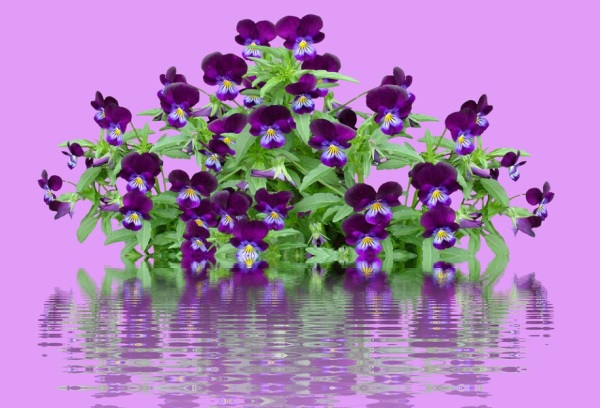 可爱搞怪情侣网名