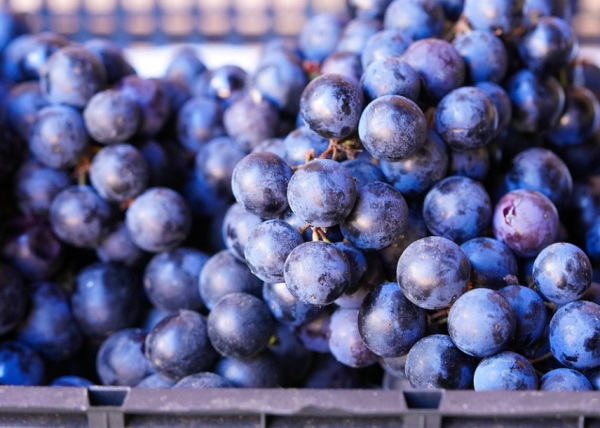 英文情侣网名个性网