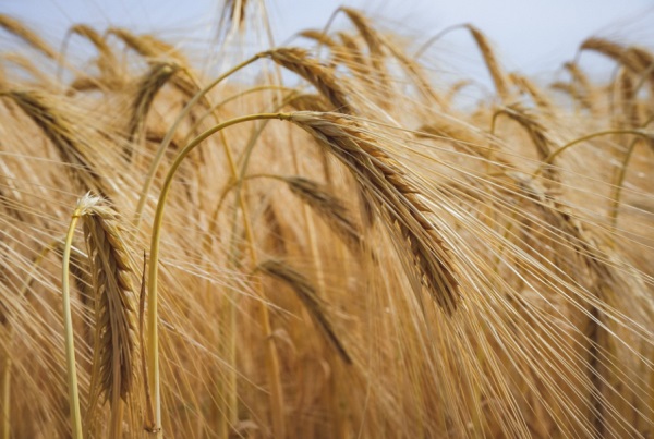 闺蜜网名个性网