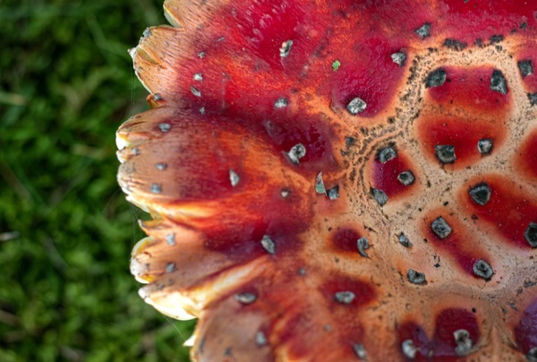简单的闺蜜网名