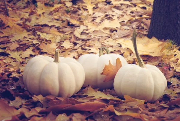 情侣扣扣头像个性网名