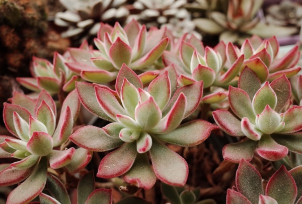 个性网名好听的情侣