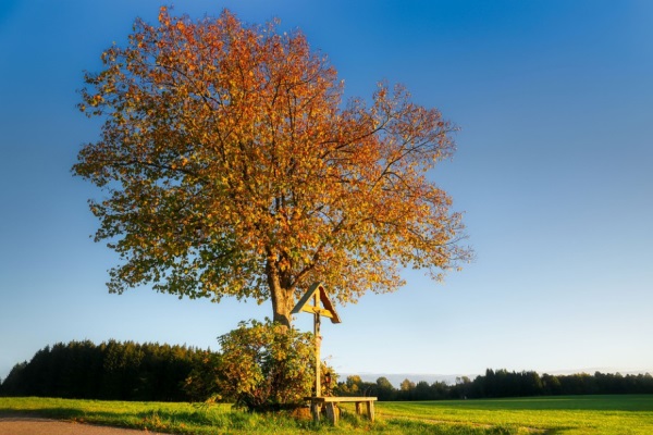 qq兄弟网名大全