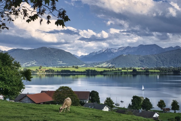 带有你的个性网名