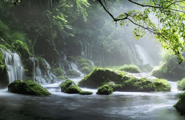 qq四姐妹网名大全