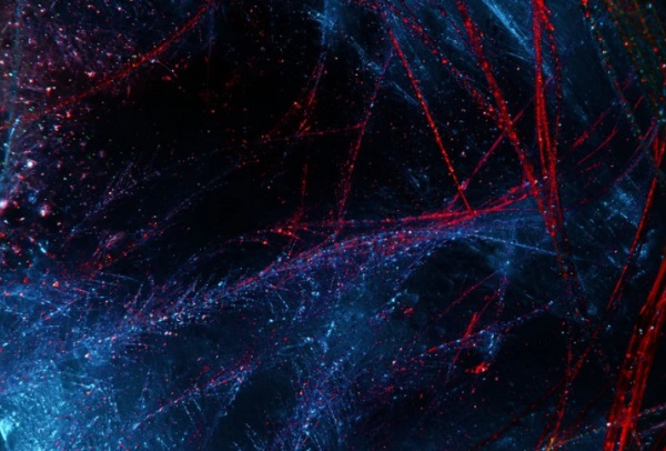 雪的网名情侣可爱