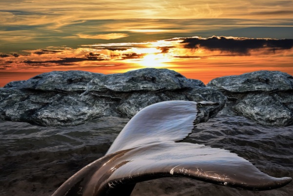 个性内涵情侣网名