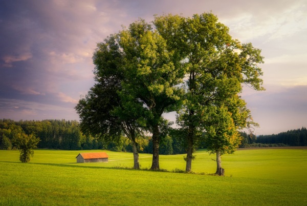 可爱女生闺蜜短字网名