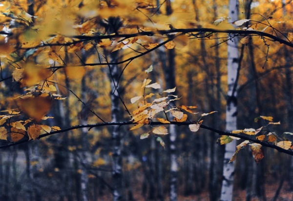 带帆字的个性网名