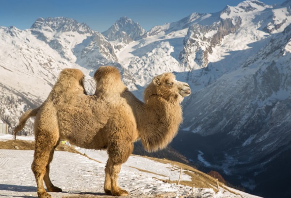 姐妹网名一对个性网