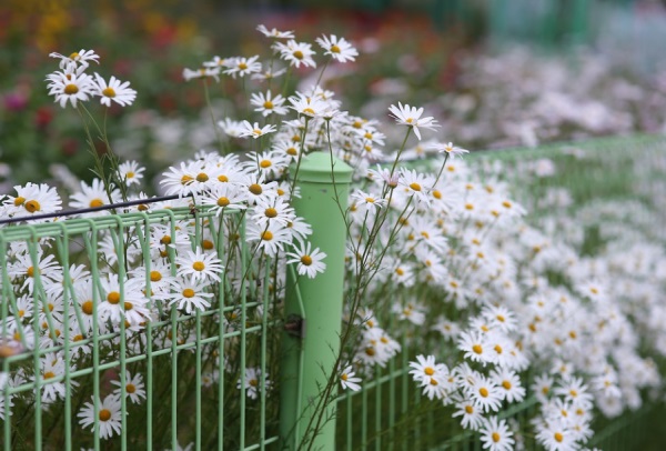 情侣网名简单霸气网名