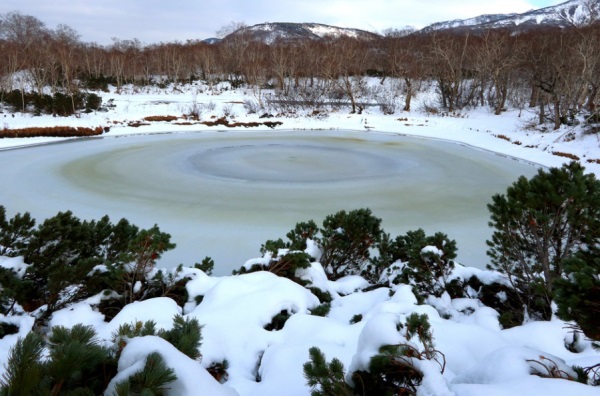 宝宝取名 | 庄姓女孩名字大全