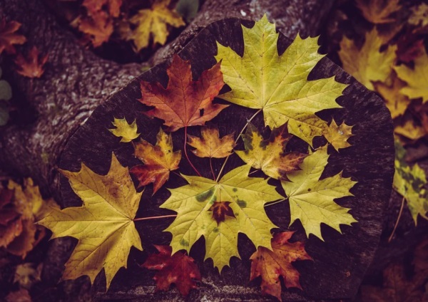 女孩亮字配什么名字好