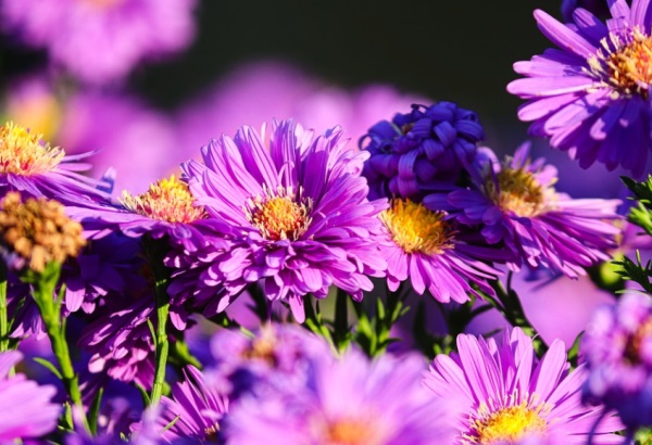 2025有内涵的周姓男孩名字大全