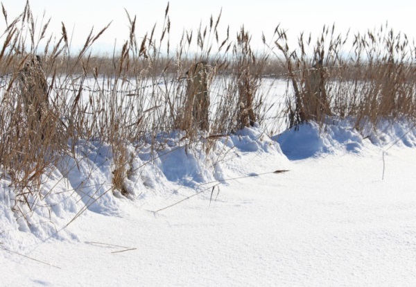 带航字的霸气名，带航字的男孩名字霸气