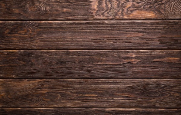 兔年最有书香气质的女孩名字有哪些（这些就很好听）