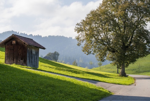 想取个好听的宝宝小名 简单7招帮你完美搞定