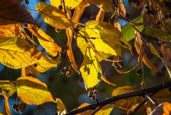 女孩名字大全：女孩取名字方法大全