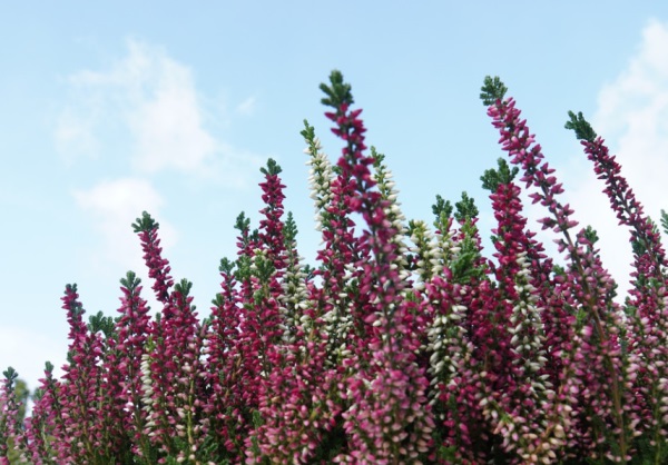 用筠的给女孩子取名