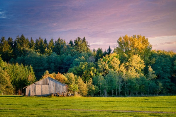 宝宝取名丨唐伯虎诗词里的理想男孩名