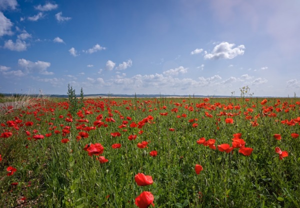 优雅大气的男孩名字
