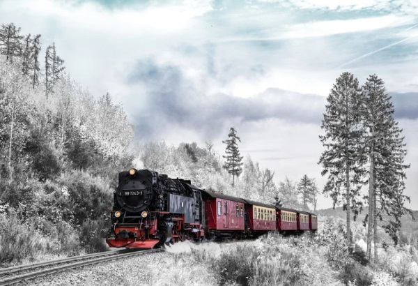 傲然挺立，自信自强的男孩名字推荐大全