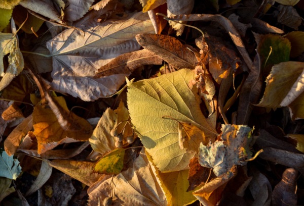 2025龙年最旺男孩名字