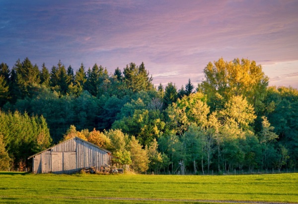 属鸡女宝宝起名 8个方法任你选