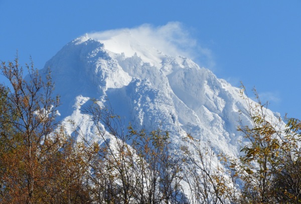 2025女宝宝时尚又可爱的乳名大全