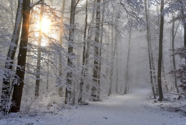 唐姓带淇字的男孩名字