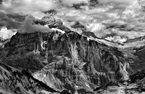 姓霍的女孩名字简单好听的