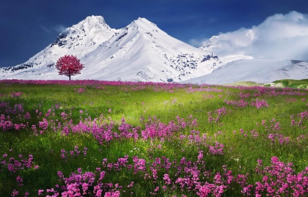 宝宝乳名大全 教你取好听的宝宝乳名