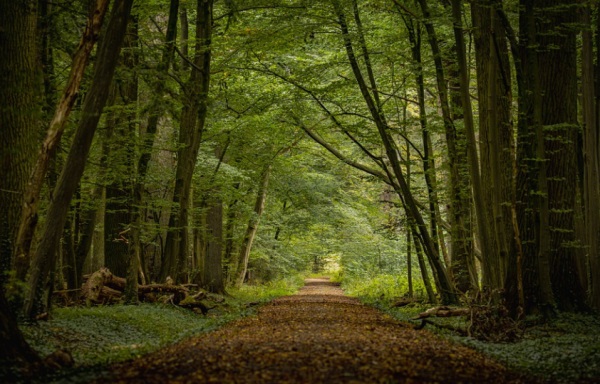 可爱的小孩子乳名起名规律