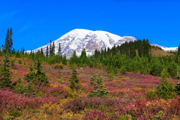 简单好听的钱姓男孩名字大全