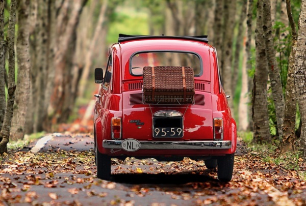 好听的女孩名字_属猴的女宝宝名字大全