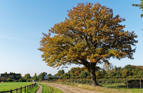 小名大全 给宝宝取小名必学7招