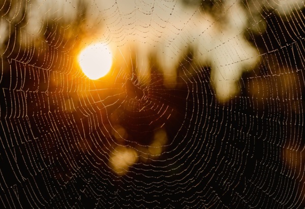 2025牛年男宝宝大方好听的名字，寓意风度翩翩