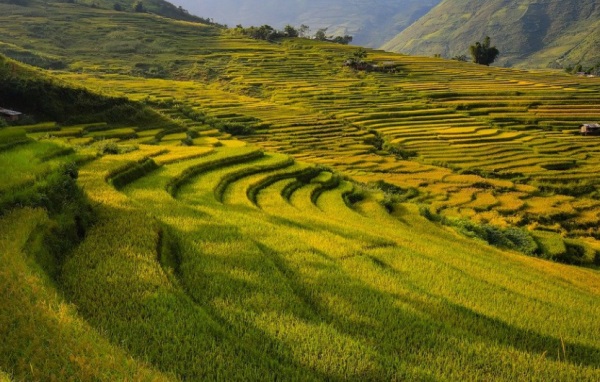 虎年男孩起名：心想事成，一切顺意的宝宝名字推荐