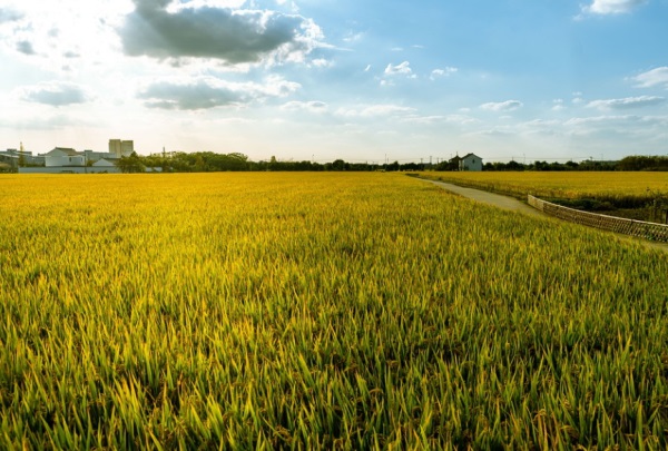 好看好听的50对男双胞胎名字