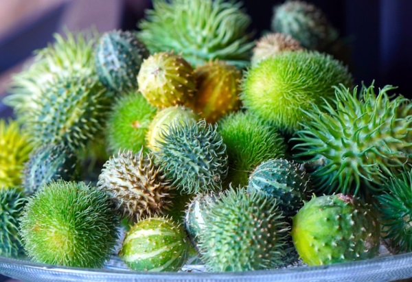 2025渊源深厚的高分男孩名字