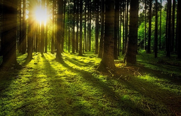 昊字男孩最吉利的名字