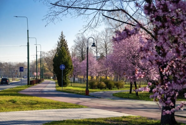 取名字大全：男《楚辞》女《诗经》取名超级适合龙宝宝