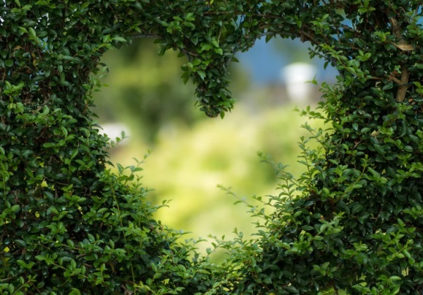 别具一格 给女孩起名字莫直白