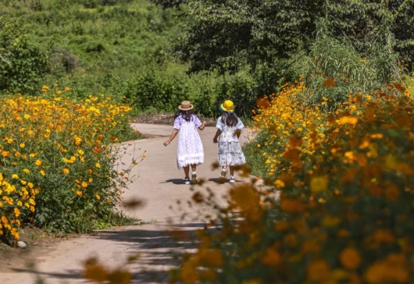 时尚好听 羊宝宝小名大全