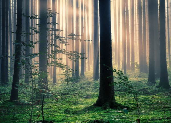 属兔女孩名字最佳用字（宜用的汉字特点）