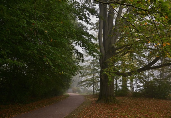 唐氏宝宝起名大全（温婉大气、性格开朗）