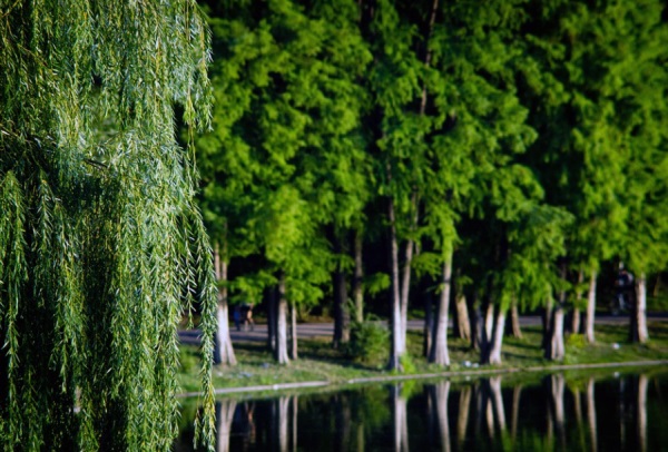 如何给宝宝起个好听的小名？这些技巧不容错过