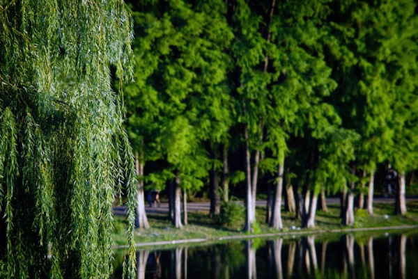 广字取名寓意，广字取名的寓意男孩