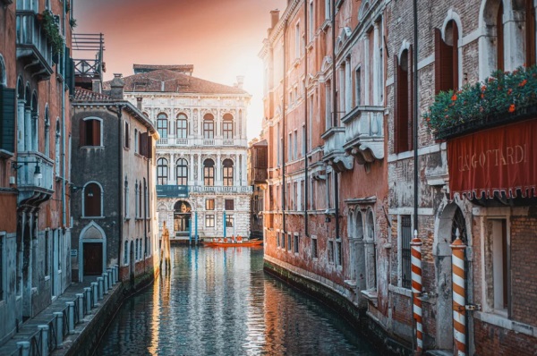 名字大全女孩_属猴的女宝宝名字